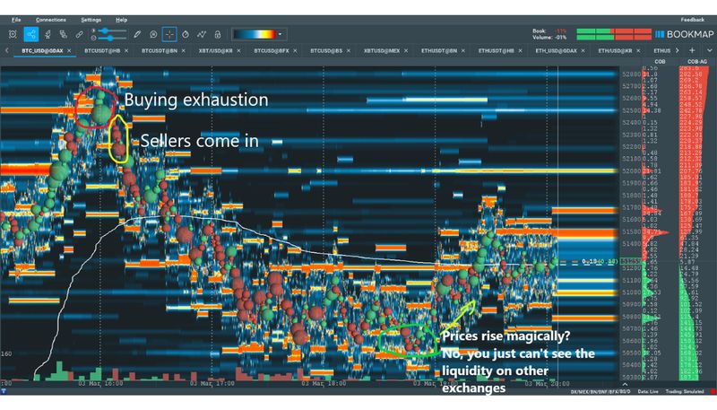 Liquidity heatmap showing order flow and market depth in real time